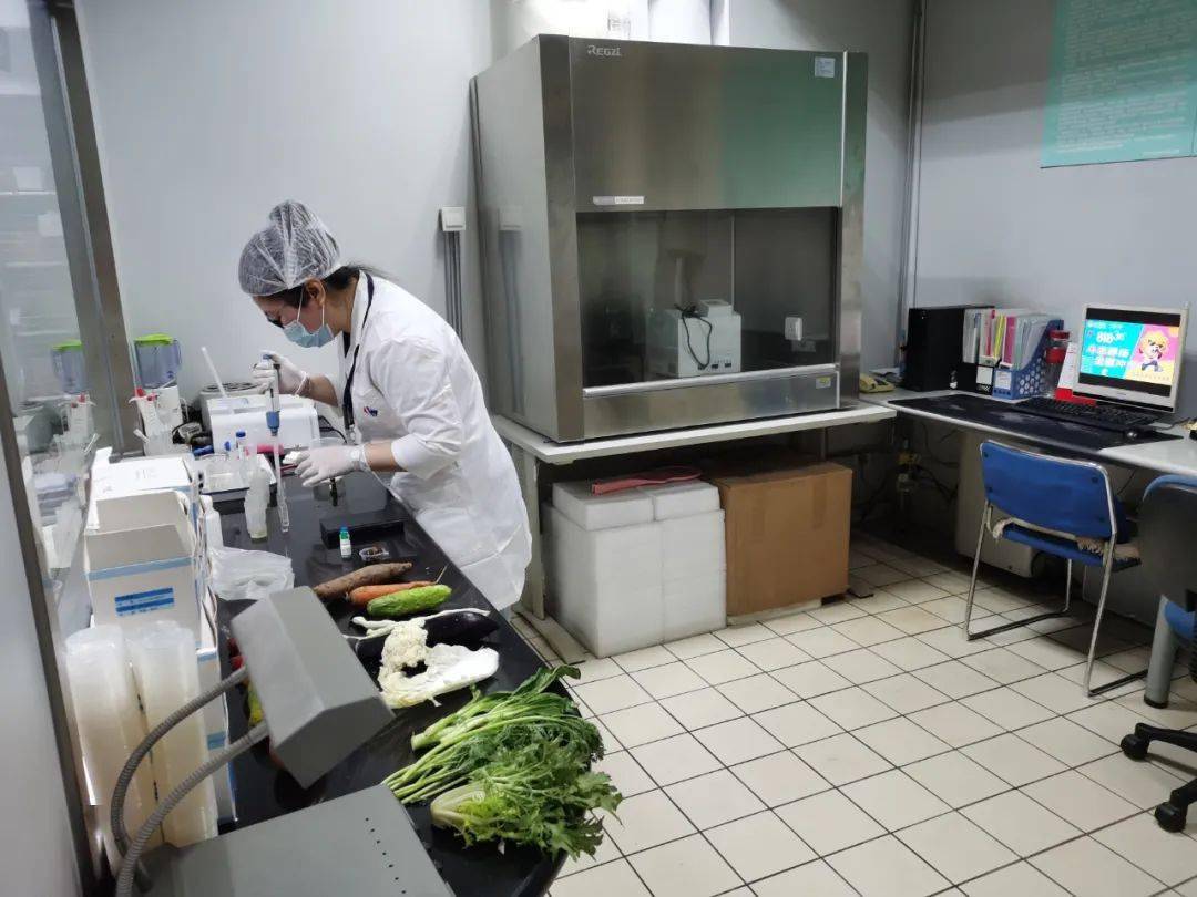金平食品检测实验室装修方案